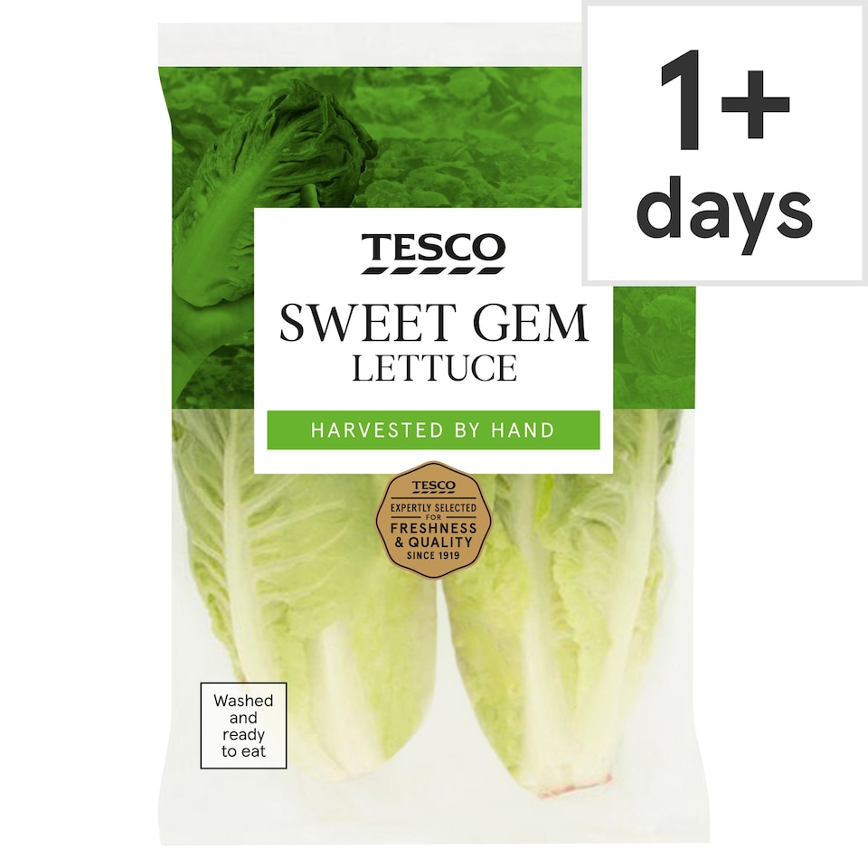 Tesco Sweet Gem Lettuce - Clubcard Price
