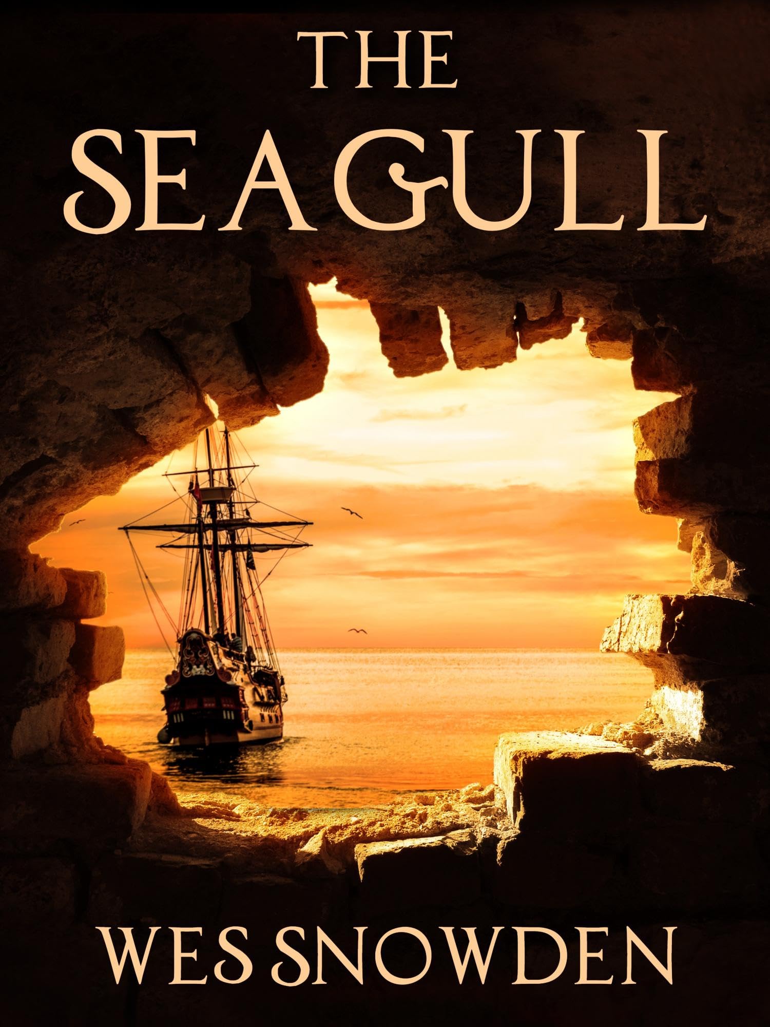 Historical Adventure - Wes Snowden - The Seagull: A thrilling blend of adventure, intrigue, love, and redemption. Kindle Edition