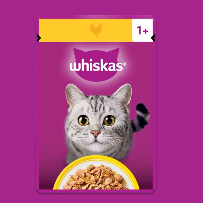 Free pouch of WHISKAS Chicken in Jelly, for cats 12 months old to 1+ years old • WHISKAS 1+ Chicken in Jelly, for cats 1+ years old