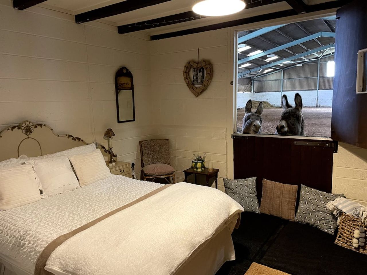 1 Night Farm Stay in a stable with 2 miniature donkeys near Newark, Nottinghamshire 21-22 Sept, up to 3 guests