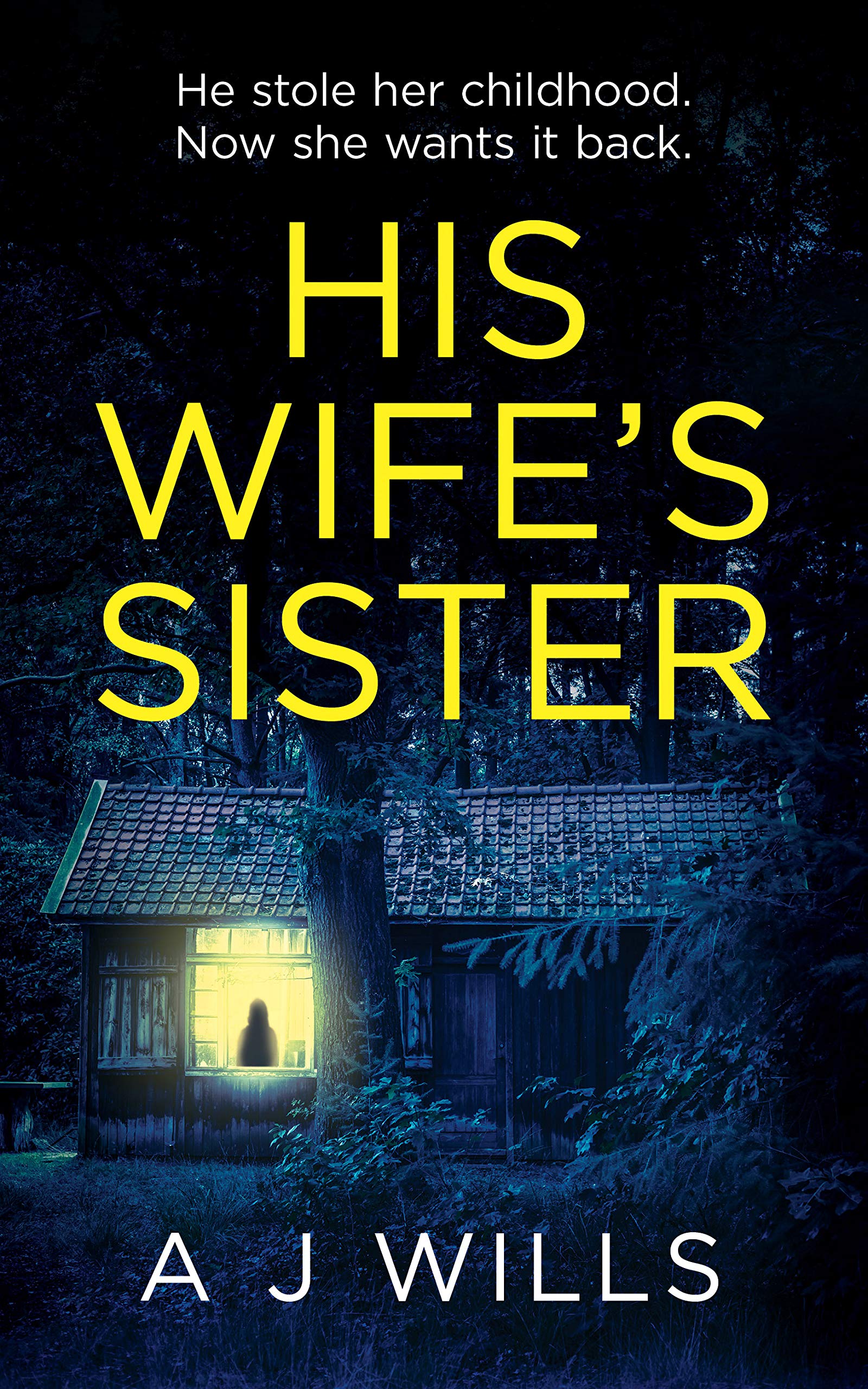 Crime Thriller - A J Wills - His Wife's Sister Kindle Edition