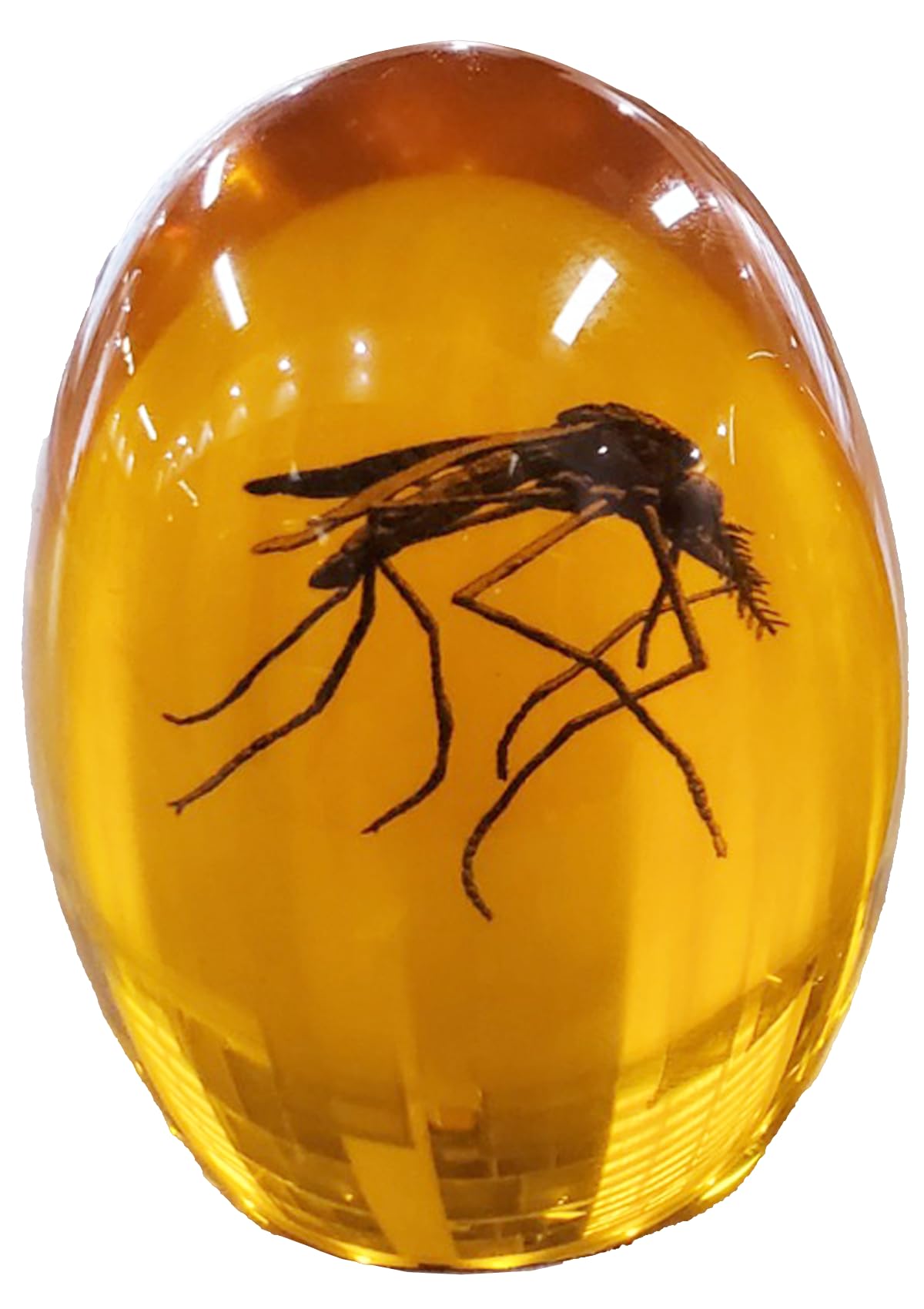 VEOJEIN Jurassic Park Mosquito in Amber Paperweight
