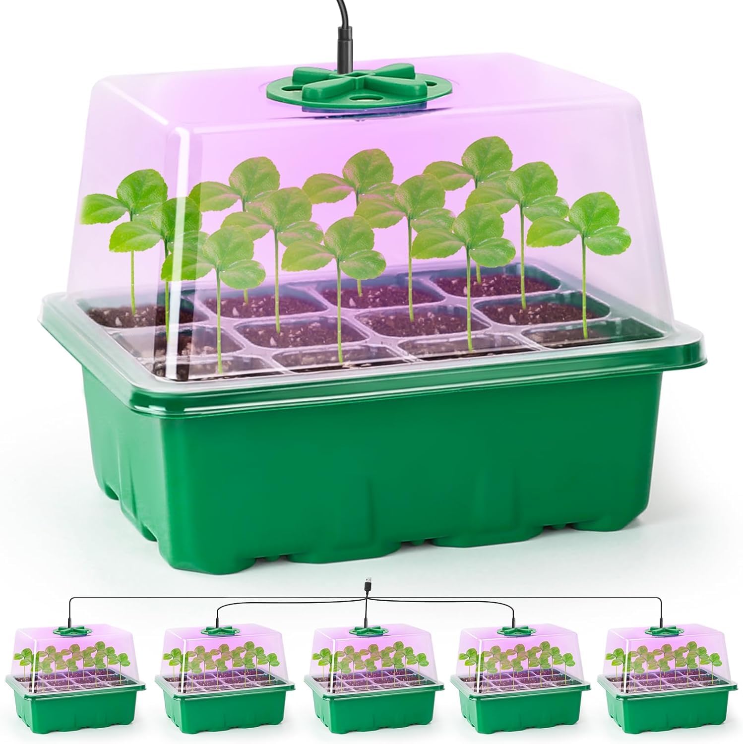 Bonviee 5 Packs Seed Starter Trays with Adjustable Vents, 12 Full Spectrum led Grow lamp Beads, SB KEIMI DIRECT / FBA