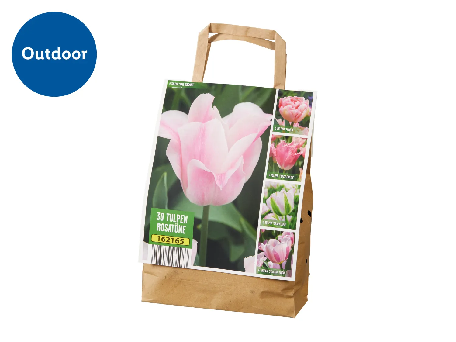 30-pack Tulip Bulbs in various colours - for Outdoor planting