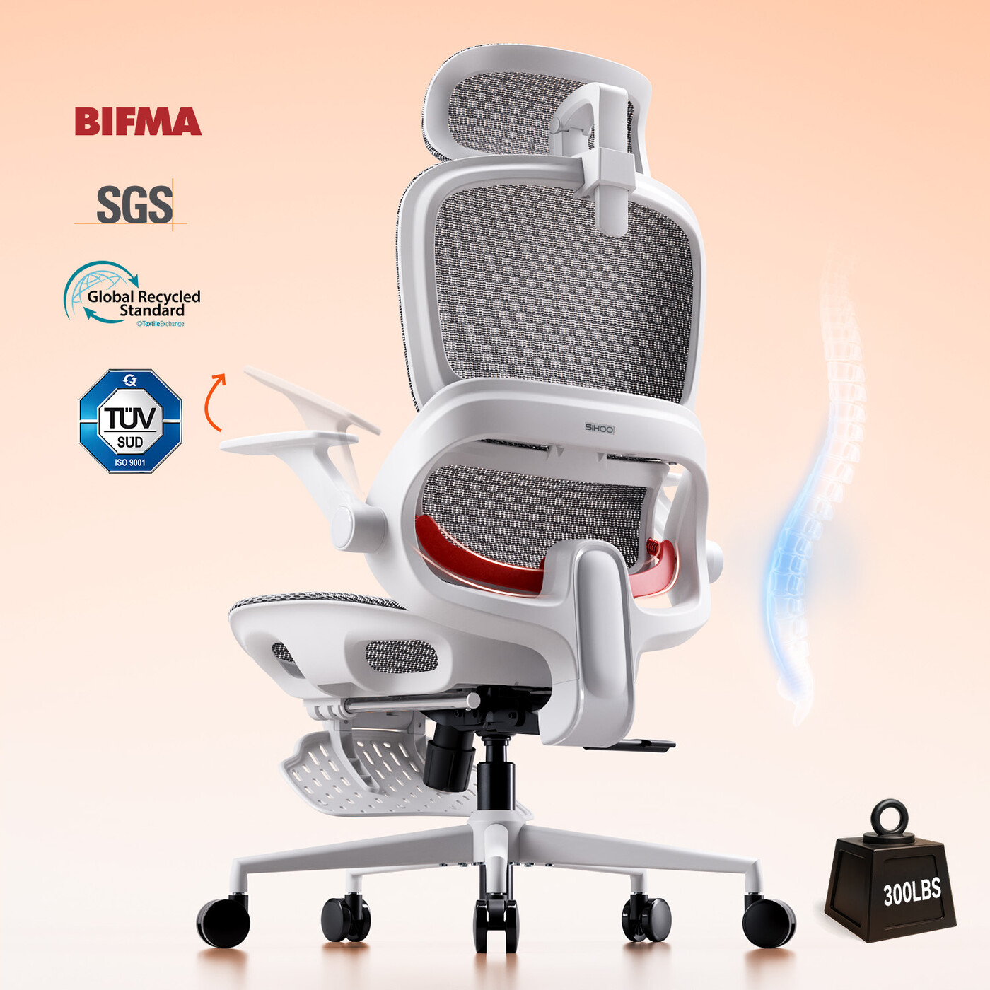 SIHOO B100JT Office Chair with Footrest, Adaptive Lumbar Support & Wide Headrest, Grey